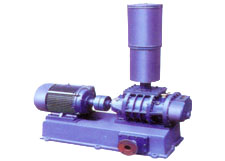 3L-80WD羅茨鼓風(fēng)機