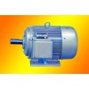 Y系列三相異步電動機(jī) 低壓電機(jī)電力拖動