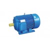 樂清市邁成機電設(shè)備/Y系列普通電機