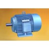 YD系列變極多速三相異步電動機(jī)低壓電機(jī)