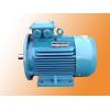 德州恒力Y2系列三相異步電動機