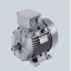 1LE0系列西門子高效節(jié)能電動機(jī)
