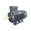 YE 系列三相異步電動機(jī)  0.120-315KW