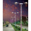 江蘇森發(fā)多火路燈  DL-015