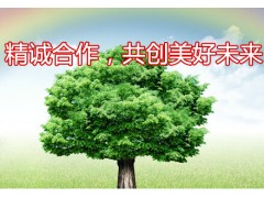 求購(gòu)改制上市咨詢服務(wù)