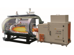 生物質(zhì)熱水鍋爐