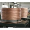 鍍錫銅包鋼絞線