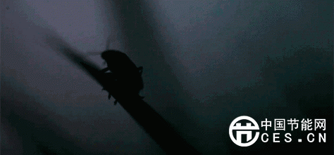 關(guān)于光與照明的冷知識，你知道幾個？