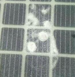 QQ截圖20180130115144