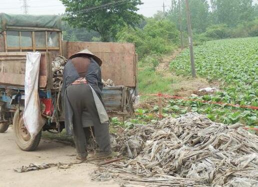 QQ截圖20180131133105