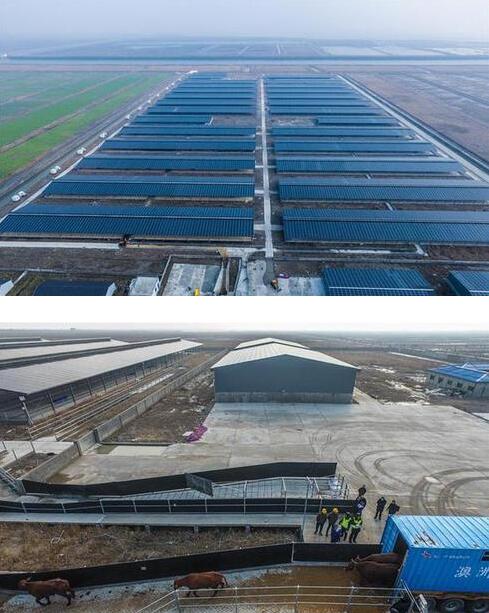 QQ截圖20180131143544