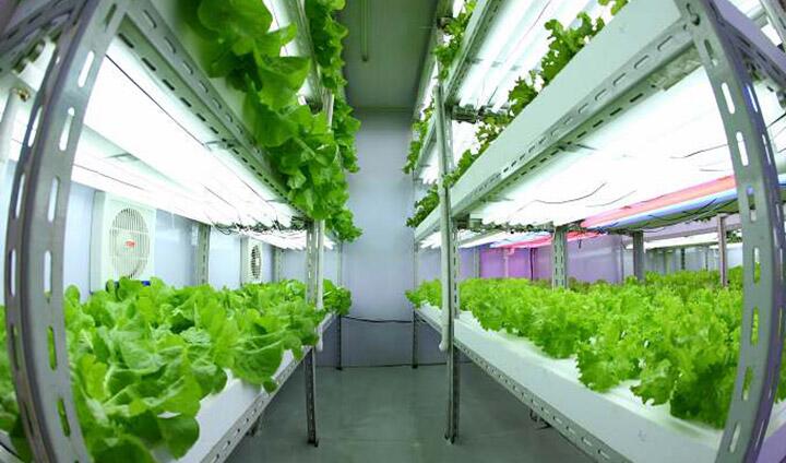 QQ截圖20180227095956