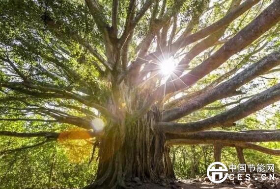 QQ截圖20180322112500