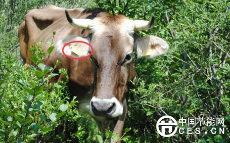 QQ截圖20180402065002