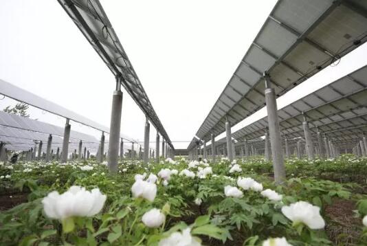 QQ截圖20180418081010