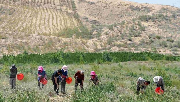 QQ截圖20180420072125