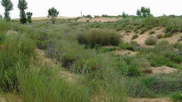 QQ截圖20180420072117