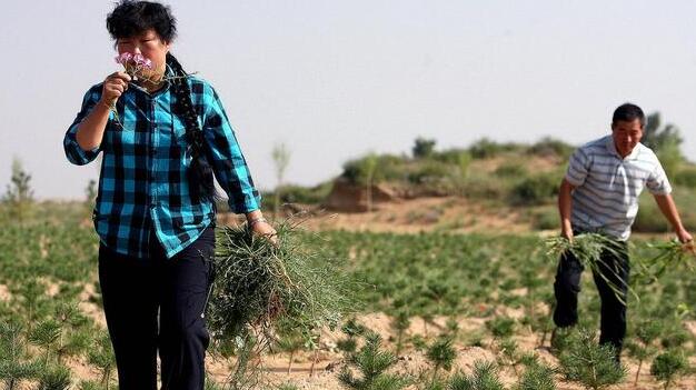 QQ截圖20180420072109