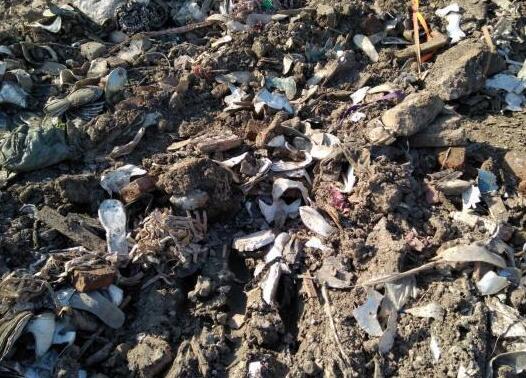 QQ截圖20180423065128