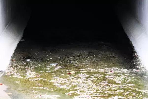 QQ截圖20180503074817