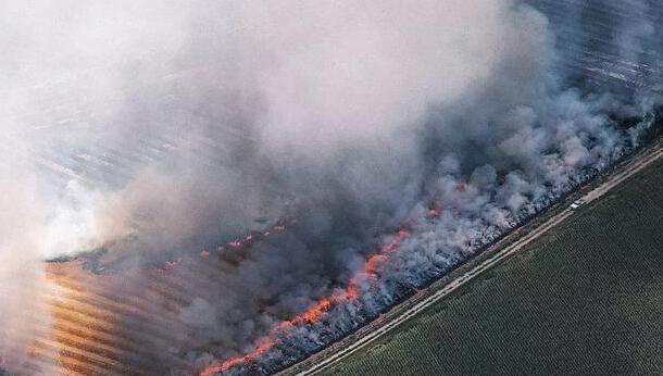 QQ截圖20180510071025