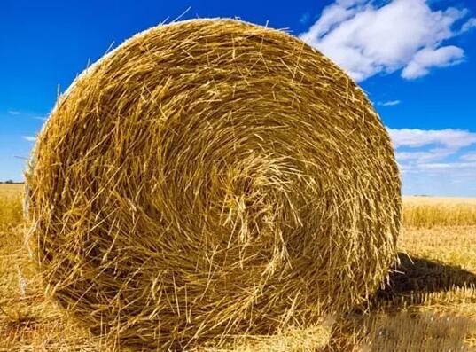 QQ截圖20180516070049