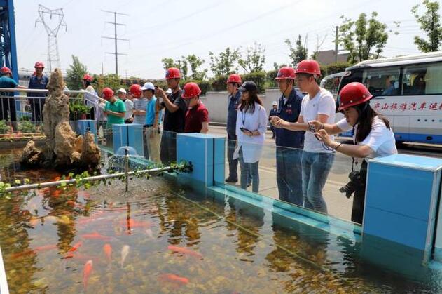 QQ截圖20180517080713