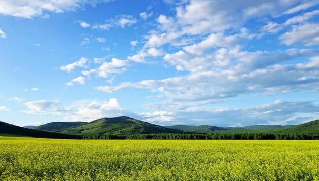 QQ截圖20180521123048