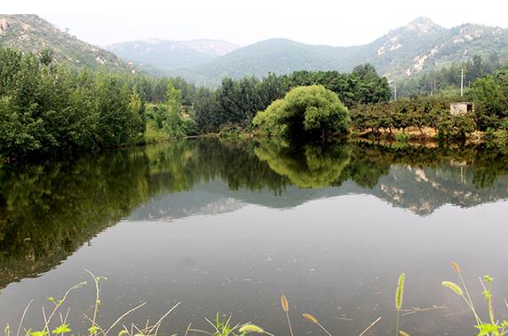 QQ截圖20180524080853