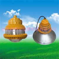 BAD810 LED防爆工廠燈 LED防爆平臺燈 護(hù)欄防爆燈