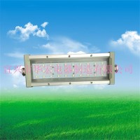 AK-LBFD15 低電壓LED防爆燈