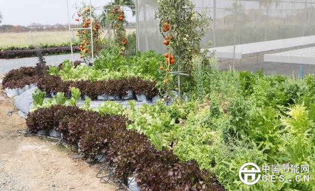 QQ截圖20180603060627