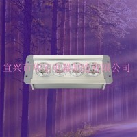 固態(tài)應急照明燈 LED應急照明兩用燈