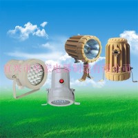 容器防爆照明  隔爆型防爆視孔燈（ⅡB、ⅡC）