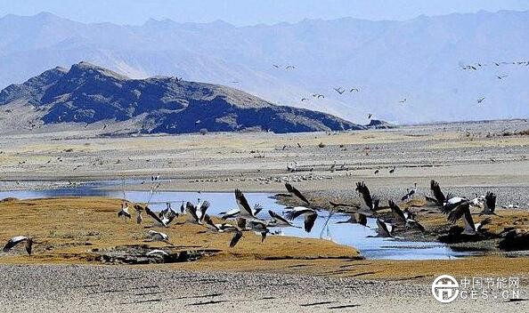 QQ截圖20180611092516