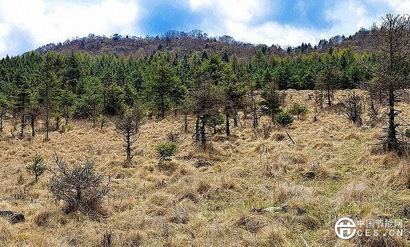 QQ截圖20180611092532