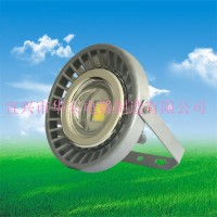 LED防爆燈  固態(tài)免維護(hù)防爆防腐LED燈