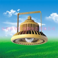 150W 180W 200W	免維護(hù)LED防爆燈 燈具防爆