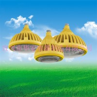 防爆免維護低碳LED照明燈	20W 30W 40W