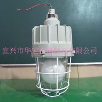 防爆防腐無極燈 GCD5011隔爆型防爆燈