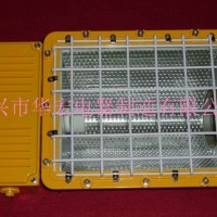 防爆泛光燈  防爆金屬鹵化物燈