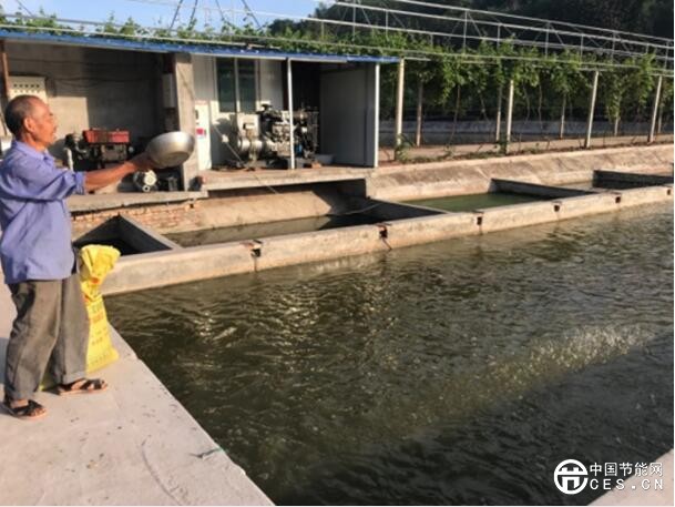 低碳節(jié)能丨了不起的“內(nèi)循環(huán)養(yǎng)魚”