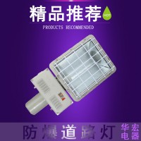 防爆專用路燈(nR) 雙臂防爆路燈 防爆馬路燈燈頭