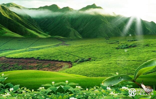 QQ截圖20180612171314