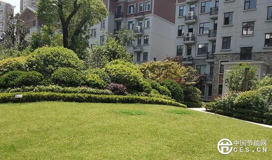 QQ截圖20180621081154