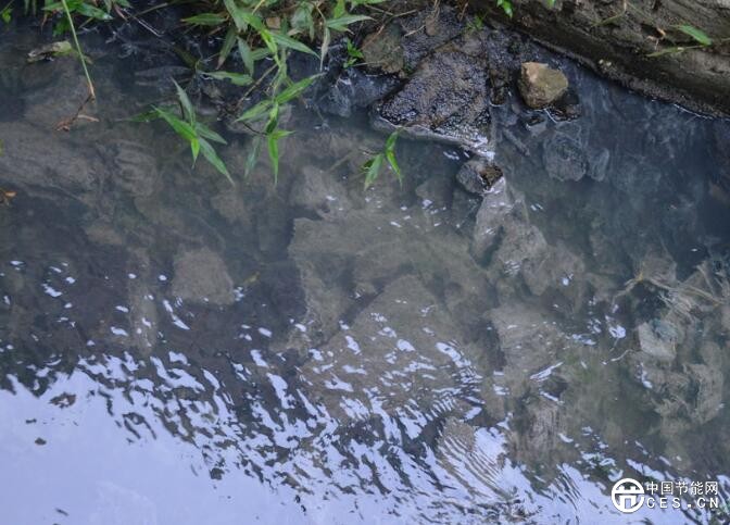 QQ截圖20180706074429