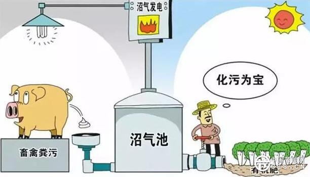 QQ截圖20180709125431