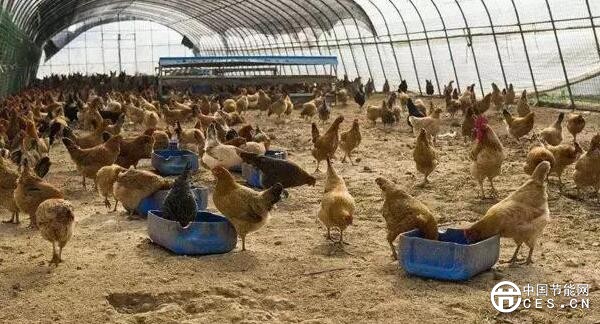 QQ截圖20180709125450