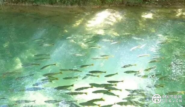 QQ截圖20180709125459