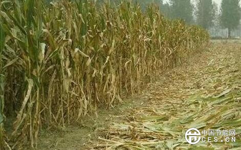 QQ截圖20180710092756